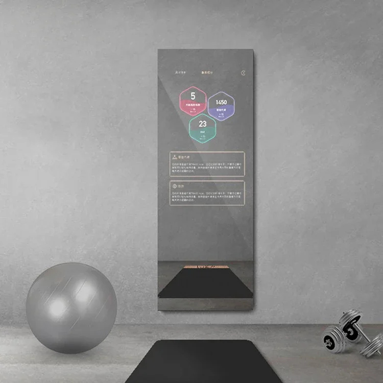 Metafit Tonal Home Glass Wall  - Smart Home Gym Mirror review and price