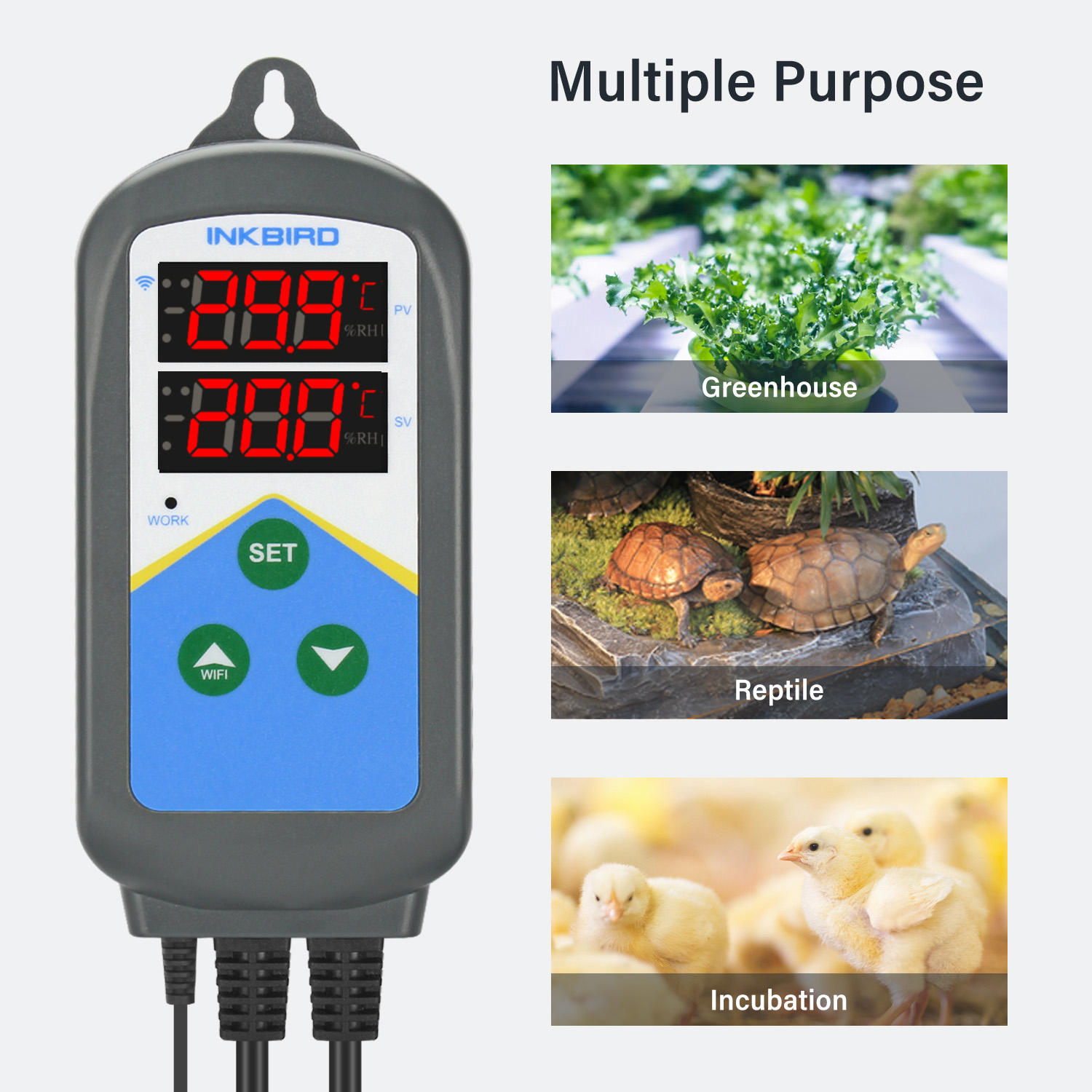 INKBIRD WIFI Thermoregulator I - Wifi Thermostat review and price