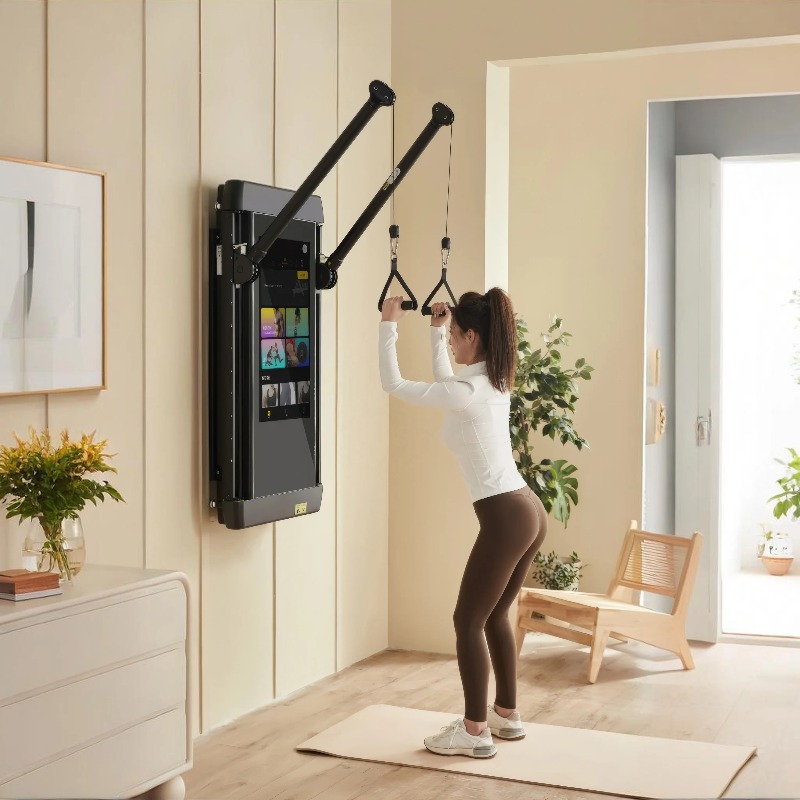 Intelligent Fitness Equipment, - Smart Home Gym Mirror review and price