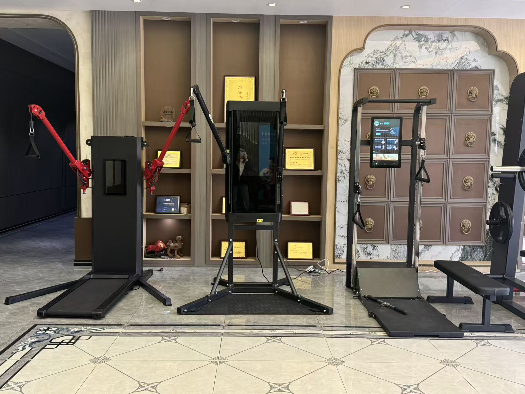Professional high-quality comm - Smart Home Gym Mirror review and price